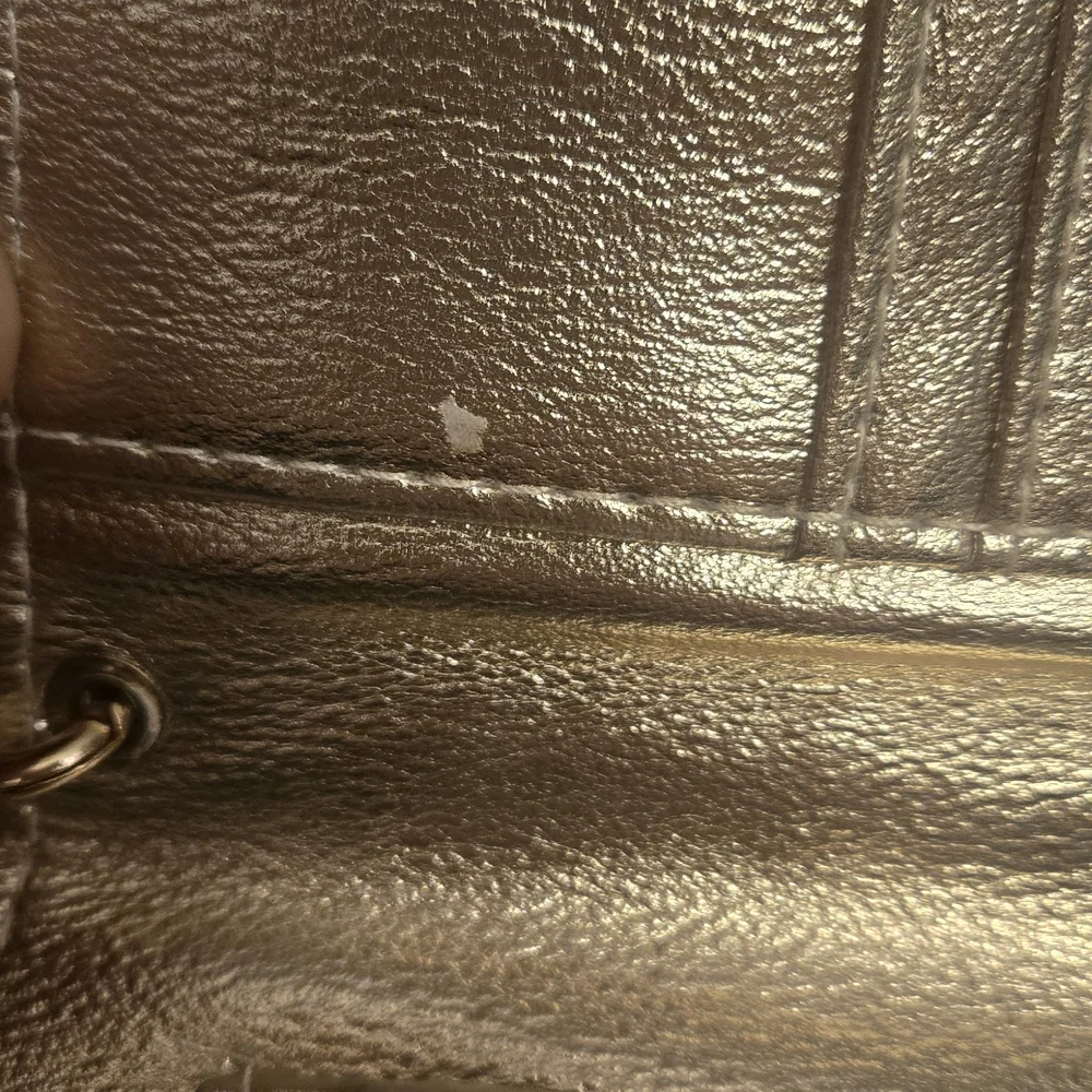 Rampage Gold Wristlet Clutch